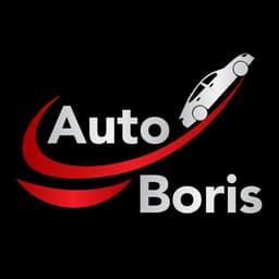 Auto Boris